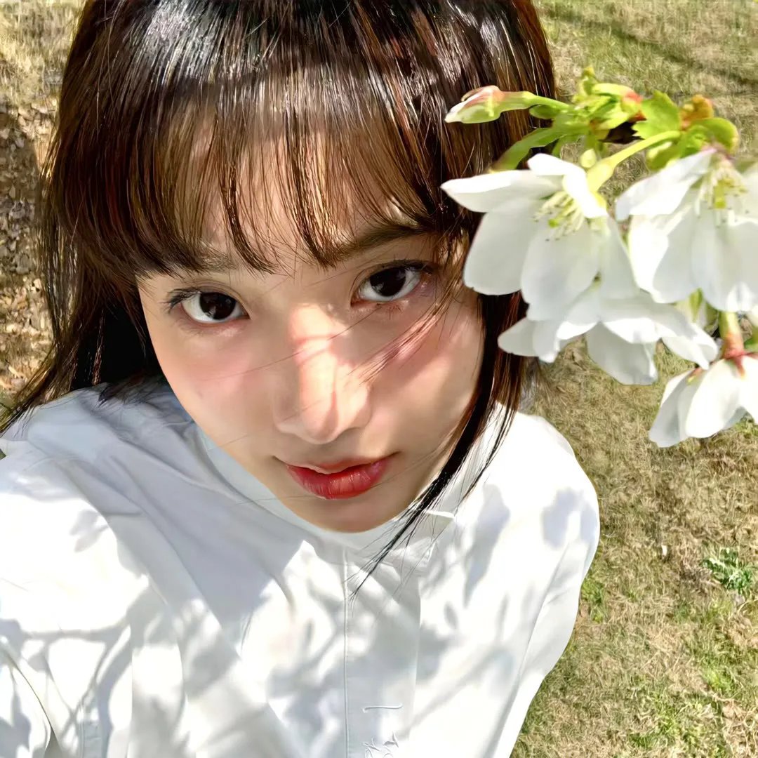 房子与狗